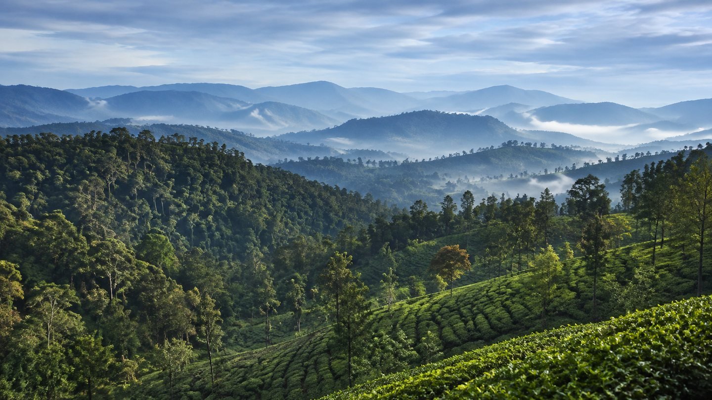 Wayanad 2 Days and 1 Night from Mysore